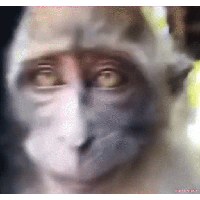 sticker image #30