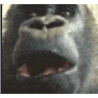 tray_icon