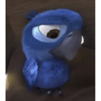 sticker image #12