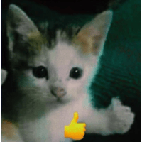 sticker image #13