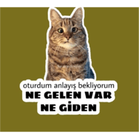 sticker image #26