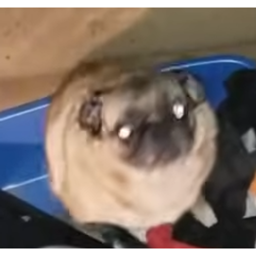 tray_icon #123779 sticker_pack