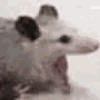 sticker image #9