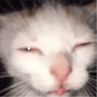 sticker image #10