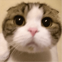 sticker image #12