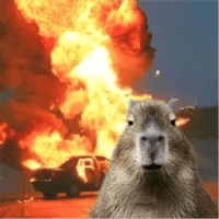 sticker image #27