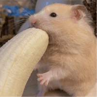 sticker image #28