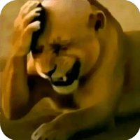 sticker image #22