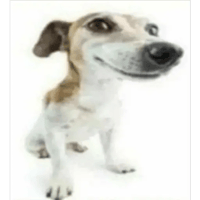sticker image #9