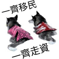sticker image #16