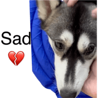 sticker image #22