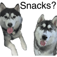 sticker image #23