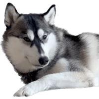 sticker image #24