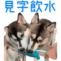sticker image #25
