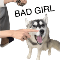 sticker image #28