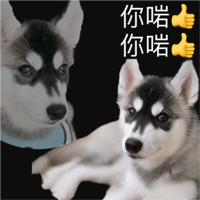 sticker image #29
