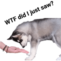 sticker image #30