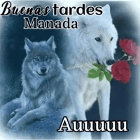 sticker image #8
