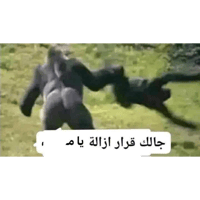 sticker image #12