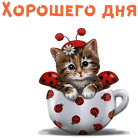 sticker image #16