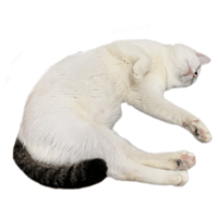 sticker image #10