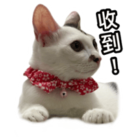 sticker image #13