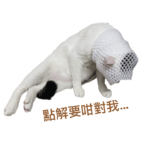 sticker image #17