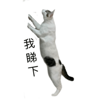 sticker image #20