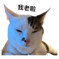 sticker image #25