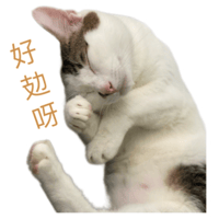 sticker image #27