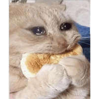 sticker image #16