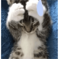 sticker image #12