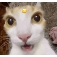 sticker image #17