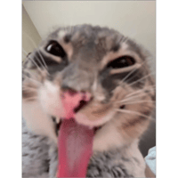 sticker image #19