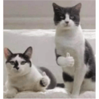 sticker image #30