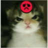 tray_icon #118482 sticker_pack