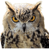 sticker image #21