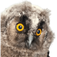 sticker image #22