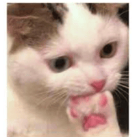 sticker image #14