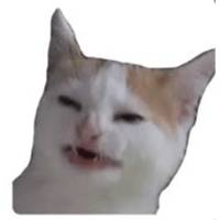 sticker image #15