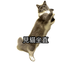 sticker image #10