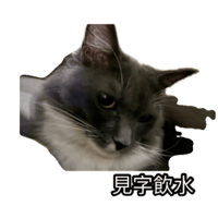sticker image #11
