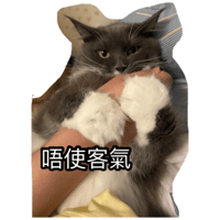 sticker image #13
