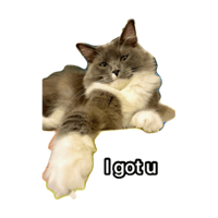 sticker image #15