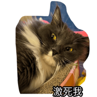 sticker image #17