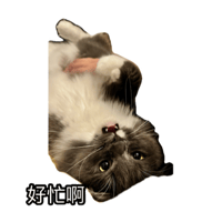 sticker image #19