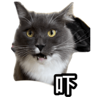 sticker image #2