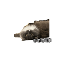 sticker image #3