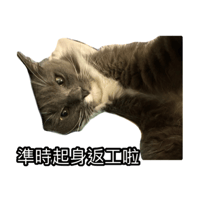 sticker image #7