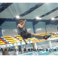 sticker image #6